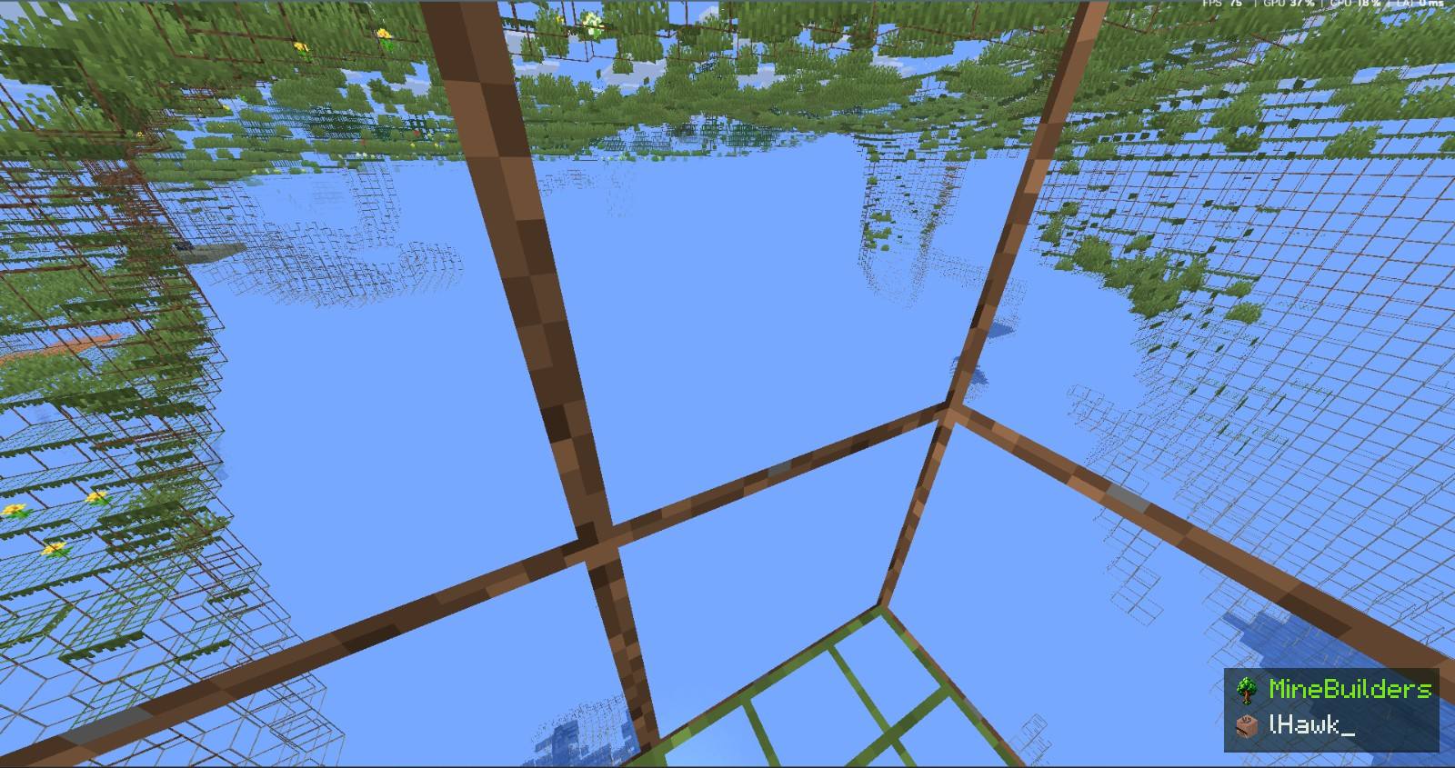 AntiXray | Folia, Spigot, Paper 1.8-26.3